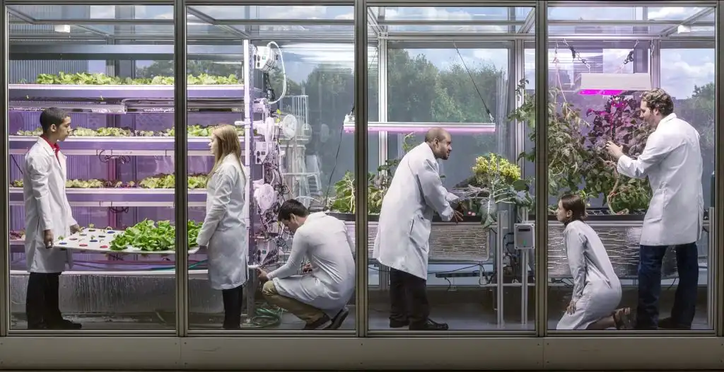 Pět příkladů, jak data mění svět k lepšímu